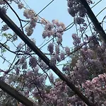 Bed & Breakfast Rosanna 3*