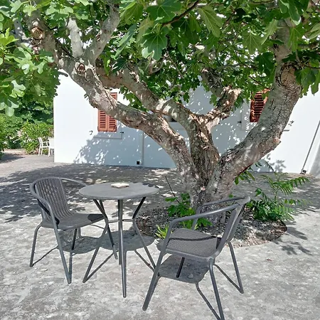 Rosanna פאסאנו